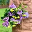 Load image into Gallery viewer, FARM FRESH LISIANTHUS - SINGLE BUNCH