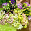Load image into Gallery viewer, FARM FRESH LISIANTHUS - SINGLE BUNCH