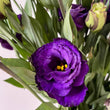 Load image into Gallery viewer, FARM FRESH LISIANTHUS - TRIPLE BUNCH