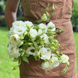 Load image into Gallery viewer, FARM FRESH LISIANTHUS - DOUBLE BUNCH