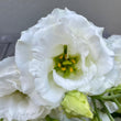 Load image into Gallery viewer, FARM FRESH LISIANTHUS - TRIPLE BUNCH