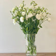 Load image into Gallery viewer, FARM FRESH LISIANTHUS - TRIPLE BUNCH