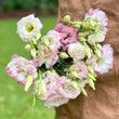 Load image into Gallery viewer, FARM FRESH LISIANTHUS - SINGLE BUNCH