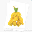 Load image into Gallery viewer, FARM FLOWER GREETING CARDS