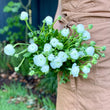 Load image into Gallery viewer, FARM FRESH RANUNCULUS - DOUBLE BUNCH (20 STEMS)