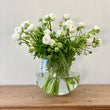 Load image into Gallery viewer, FARMGATE RANUNCULUS - DOUBLE MARKET BUNCH
