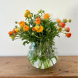 Load image into Gallery viewer, FARM FRESH RANUNCULUS - TRIPLE BUNCH (30 STEMS)