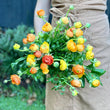 Load image into Gallery viewer, FARM FRESH RANUNCULUS - TRIPLE BUNCH (30 STEMS)