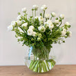 Load image into Gallery viewer, FARM FRESH RANUNCULUS - TRIPLE BUNCH (30 STEMS)