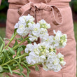 Load image into Gallery viewer, FARM FRESH STOCKS - SINGLE BUNCH (5 STEMS)