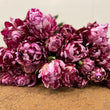 Load image into Gallery viewer, FARM FRESH PEONY ROSES - SINGLE BUNCH (6 STEMS)