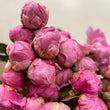 Load image into Gallery viewer, FARM FRESH PEONY ROSES - DOUBLE BUNCH (12 STEMS)