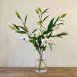 Load image into Gallery viewer, FARMGATE ORIENTAL LOTUS LILY (DOUBLE FLOWERED) LILIES / LILIUM - SINGLE BUNCH (3 STEMS)