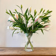 Load image into Gallery viewer, FARMGATE ORIENTAL LOTUS LILY (DOUBLE FLOWERED) LILIES / LILIUM - TRIPLE BUNCH (9 STEMS)
