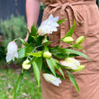 Load image into Gallery viewer, FARMGATE ORIENTAL LOTUS LILY (DOUBLE FLOWERED) LILIES / LILIUM - SINGLE BUNCH (3 STEMS)