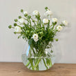 Load image into Gallery viewer, FARMGATE FLOWERS DIRECT RANUNCULUS WHITE