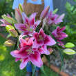 Load image into Gallery viewer, FLOWER DELIVERY BRISBANE FLOWERS BRISBANE FLORIST BRISBANE FLOWERS DELIVERY BRISBANE