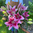 Load image into Gallery viewer, Oriental Lily Flower Box Subscription (FREE Delivery)
