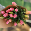Load image into Gallery viewer, FARM FRESH TULIPS - DOUBLE BUNCH (20 STEMS)