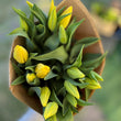 Load image into Gallery viewer, FARM FRESH TULIPS - DOUBLE BUNCH (20 STEMS)