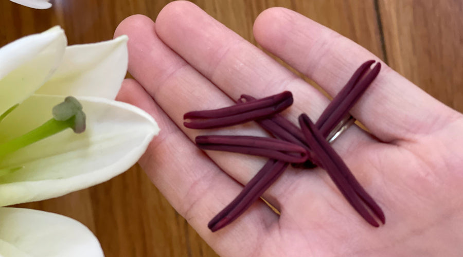 PESKY POLLEN (AND HOW TO SAVE THAT FAVOURITE WHITE SHIRT)