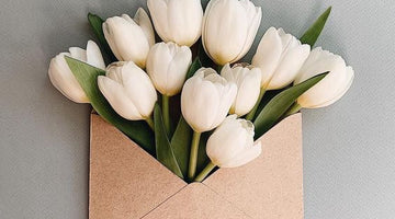 Fresh, clean and classic!  Our crisp white Tasmanian Farm Fresh Tulips are the perfect pick-me-up for your home!
