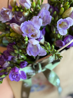 Freesias (40 stems) + Vase