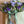 Load image into Gallery viewer, Freesias (40 stems) + Vase
