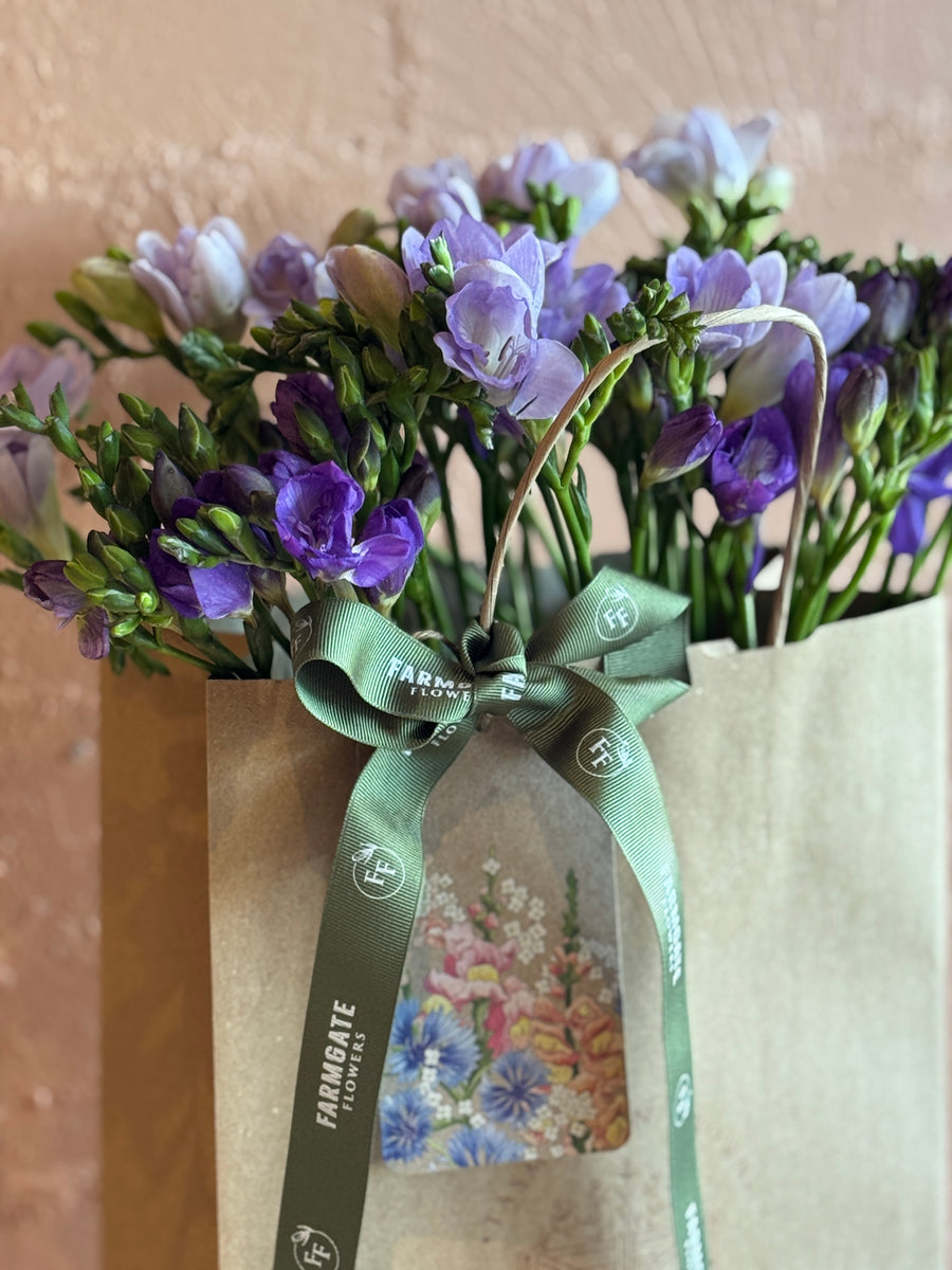 Freesias (40 stems) + Vase
