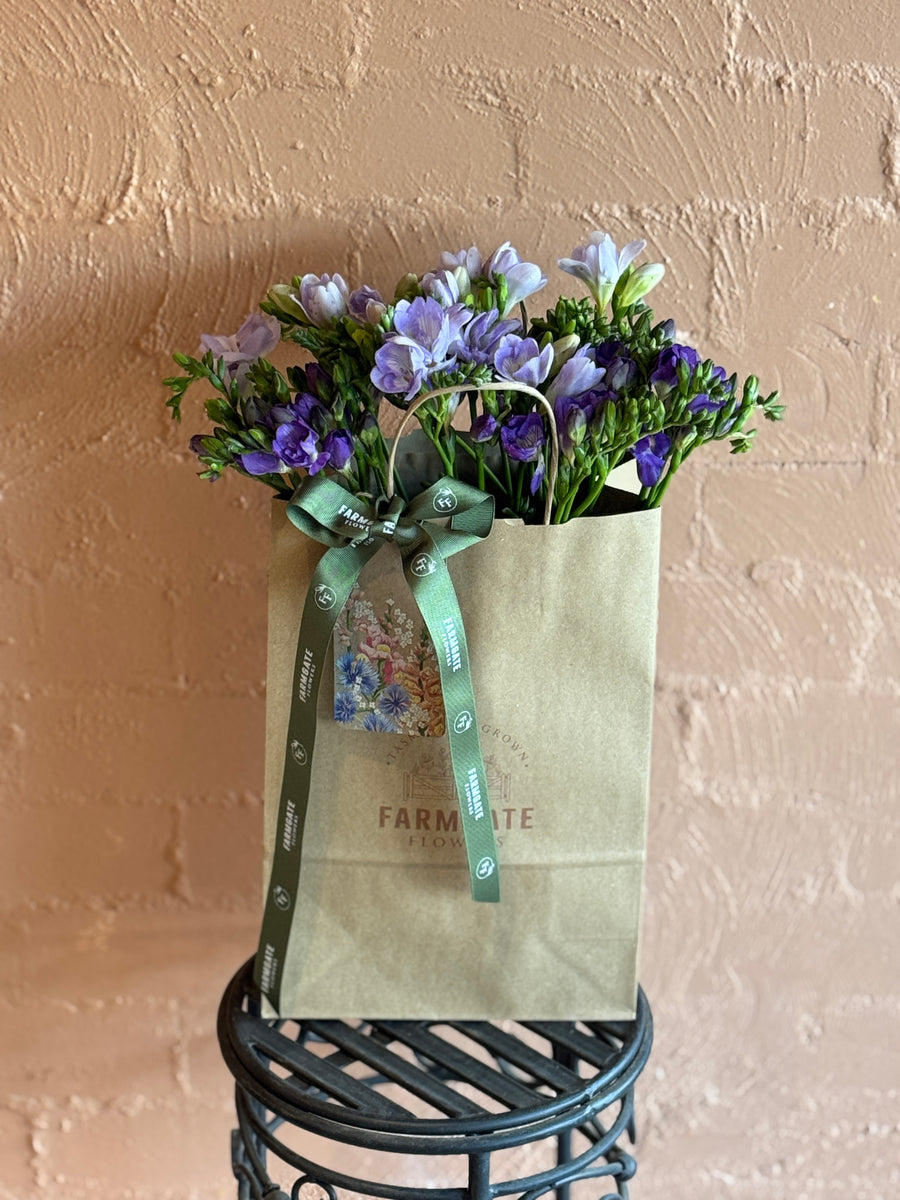 Freesias (40 stems) + Vase