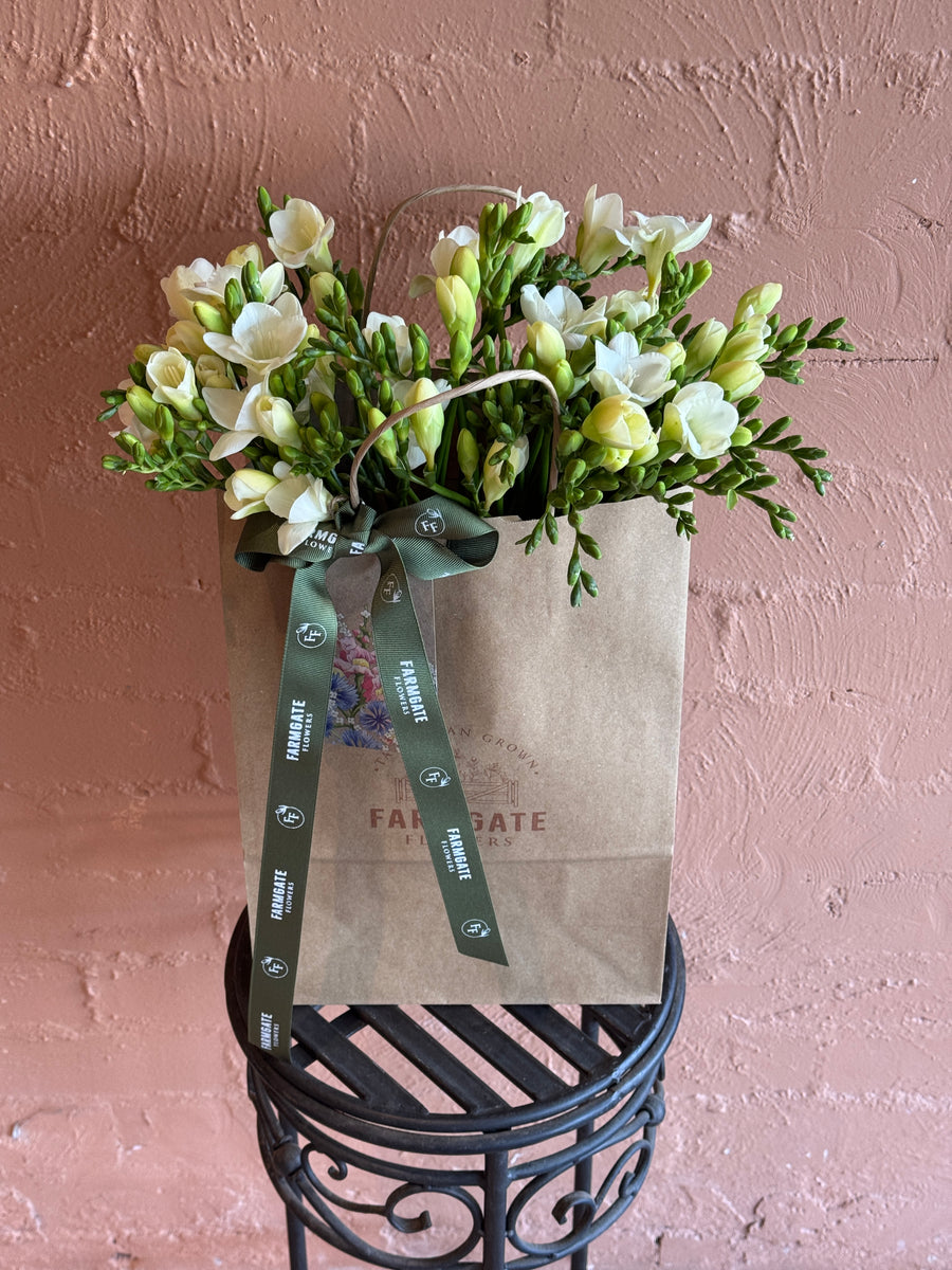 Freesias (40 stems) + Vase