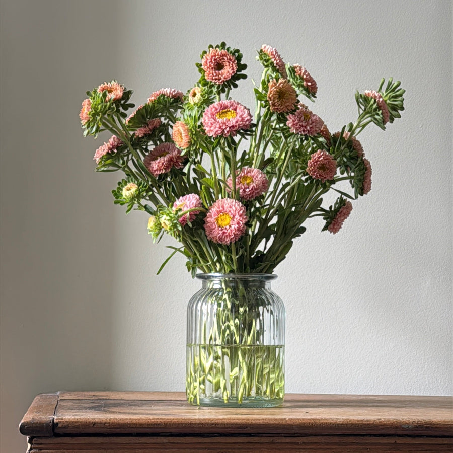 APRICOT ASTERS IN SMALL VASE