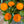 Load image into Gallery viewer, BRIGHT ORANGE FLOWERS 
