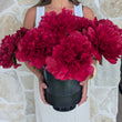 Load image into Gallery viewer, FARM FRESH PEONY ROSES - SINGLE BUNCH (5 STEMS)
