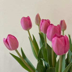 FARM FRESH TULIPS - DOUBLE BUNCH (20 STEMS)