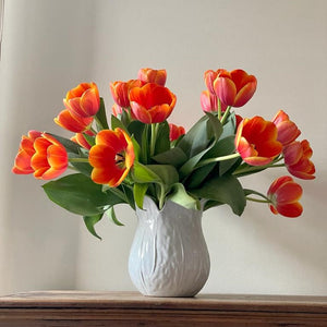 FARM FRESH TULIPS - DOUBLE BUNCH (20 STEMS)