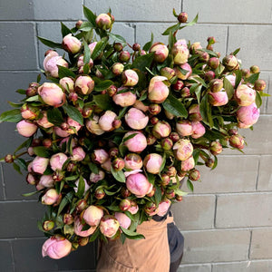 FARM FRESH PEONY ROSES - SINGLE BUNCH (5 STEMS)