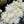 Load image into Gallery viewer, FARM FRESH CHRYSANTHEMUMS - SINGLE BUNCH
