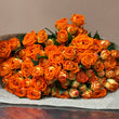 Load image into Gallery viewer, Gift Valentine Roses
