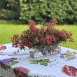Load image into Gallery viewer, FARMGATE FLOWERS DIRECT CHRISTMAS BUSH GROWN IN DARLING DOWNS  DISPLAYED ON CHRISTMAS TABLE
