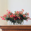 Load image into Gallery viewer, FARMGATE FLOWERS DIRECT CHRISTMAS BUSH ROWN IN DARLING DOWNS IN VASE ON CABINET

