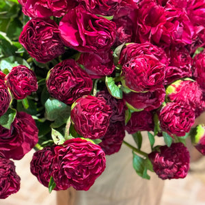 FARMGATE FLOWERS DIRECT PEONY ROSE PEONIES OLD FAITHFUL