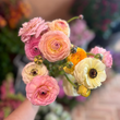 Load image into Gallery viewer, Bouquet of pink, orange, and lemon ranunculus in Farmgate Toowong Flower Market
