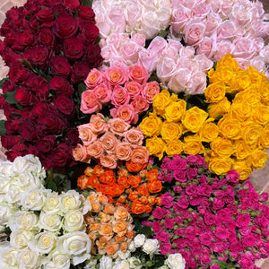 Roses (Double Bunch) + Vase