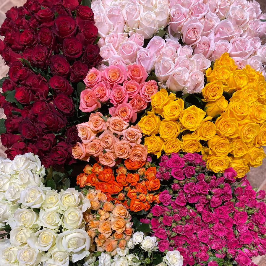 Roses (Double Bunch) + Vase