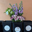 Load image into Gallery viewer, Subscription - 3 x Seasonal Market Bunches (Delivered Regularly)
