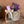 Load image into Gallery viewer, FARMGATE FLOWERS MOTHERS DAY GIFT BAG BRISBANE FLOWER DELIVERY 
