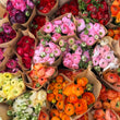 Load image into Gallery viewer, FARMGATE FLOWERS RANUNCULUS BRIGHTS
