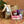 Load image into Gallery viewer, FARMGATE FLOWERS TOOWONG MOTHERS DAY GIFT PACK 
