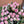Load image into Gallery viewer, FARMGATE FLOWERS TOOWONG NEWFARM TASMANIAN TULIPS CERISE PINK
